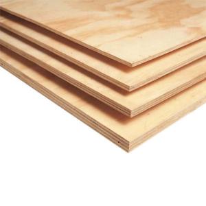 Pine Plus Constructural Plywood